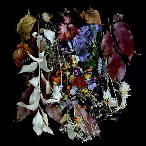 Glasgow trio, PAWS share new video for "Joanna" - Watch Now 83 PAWS