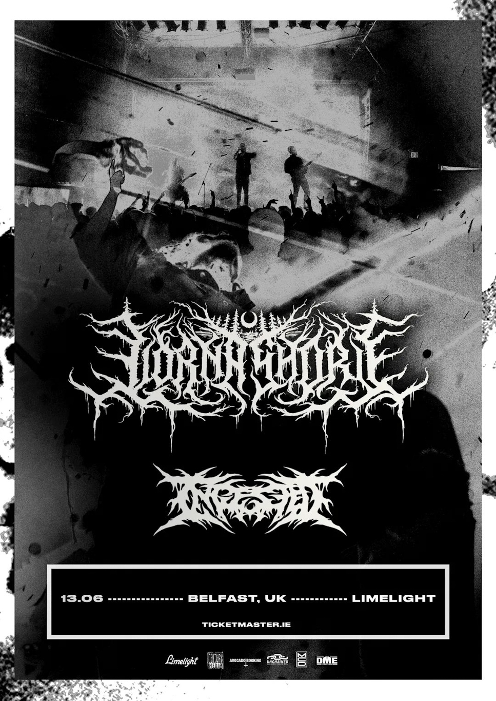 LORNA SHORE