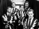 The Hives